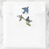 Eastern Bluebird, John Audubon Vierkante Sticker (Tas)