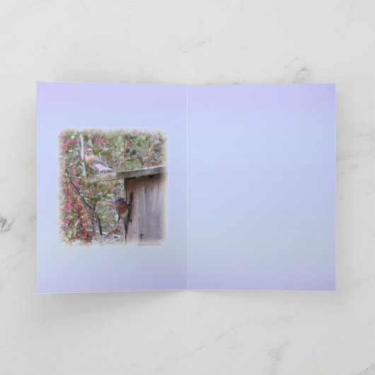 Eastern Bluebird Male Kaart (Binnen)