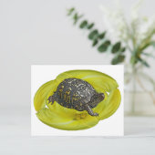 Eastern Box Turtle Coordinating Items Briefkaart (Staand voorkant)