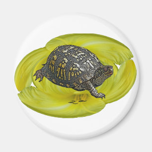 Eastern Box Turtle Coordinating Items Magneet