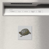 Eastern Box Turtle Coordinating Items Magneet (Insitu (Vaatwasser))