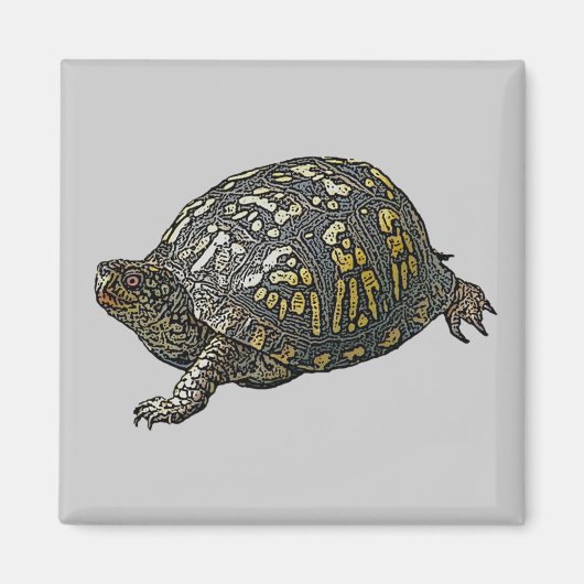 Eastern Box Turtle Coordinating Items Magneet (Voorkant)