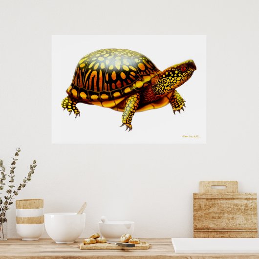 Eastern Box Turtle Print (Keuken)