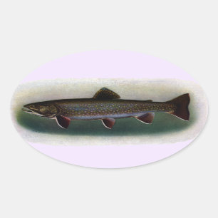Eastern Brook Trout Painting Ovale Sticker
