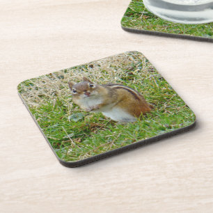 Eastern Chipmunk Bier Onderzetter
