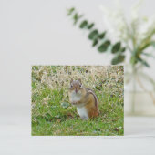 Eastern Chipmunk Briefkaart (Staand voorkant)