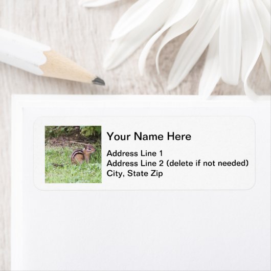 Eastern Chipmunk Etiket (Insitu)