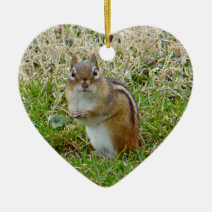 Eastern Chipmunk Keramisch Ornament