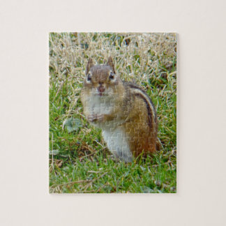 Eastern Chipmunk Legpuzzel