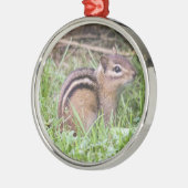 Eastern Chipmunk Metalen Ornament (Links)