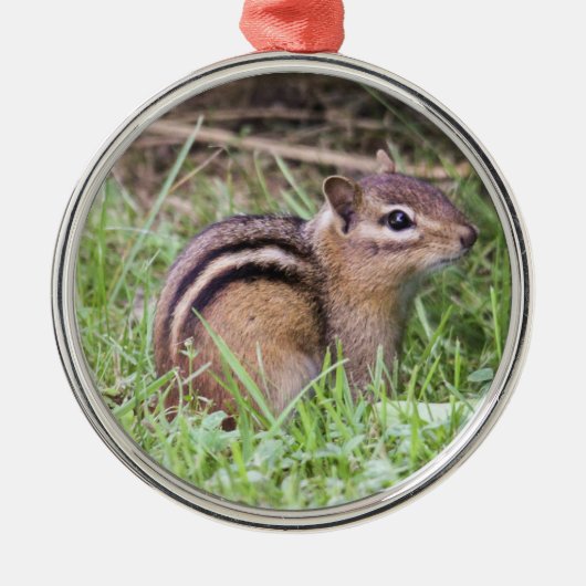 Eastern Chipmunk Metalen Ornament (Voorkant)