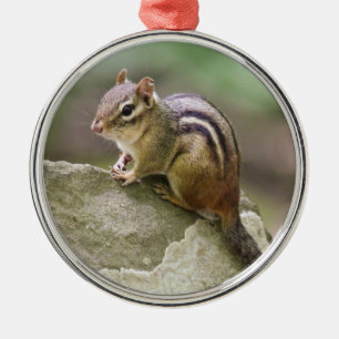 Eastern Chipmunk Metalen Ornament