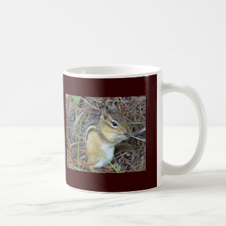 Eastern Chipmunk Mok
