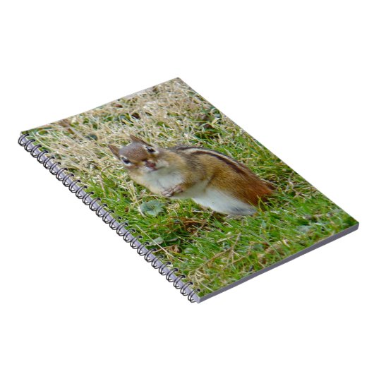 Eastern Chipmunk Notitieboek (Rechterzijde)