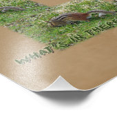 Eastern Chipmunk ontdekt een gat Foto Afdruk (Hoek)