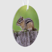 Eastern Chipmunk Ornament (voorkant)