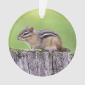 Eastern Chipmunk Ornament (voorkant)