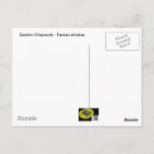 Eastern Chipmunk - Tamias striatus Briefkaart (Achterkant)