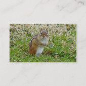 Eastern Chipmunk - Tamias striatus Visitekaartje (Achterkant)