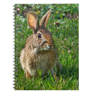 Eastern cottontail rabbit notitieboek