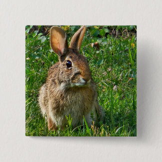 Eastern cottontail rabbit vierkante button 5,1 cm