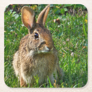 Eastern cottontail rabbit vierkante kartonnen onderzetter