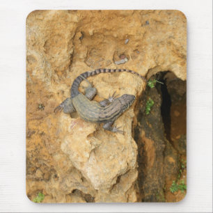 Eastern Fence Lizard Muismat