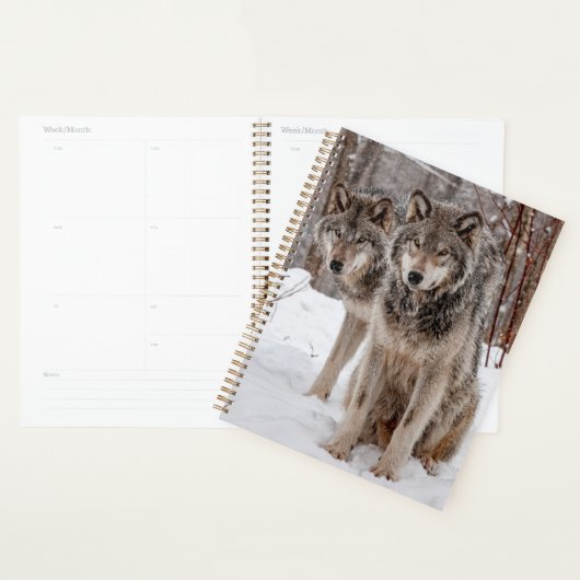 Eastern Gray Wolf Planner (Display)