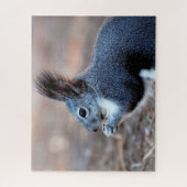 Eastern Grey Squirrel Close, Jigzaag Puzzle Legpuzzel (Verticaal)