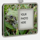 Eastern Grey Treefrog Nature Photography Verzilverd Kader Ornament (Rechts)