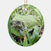 Eastern Grey Treefrog Natuur Fotografie Keramisch Ornament (Links)