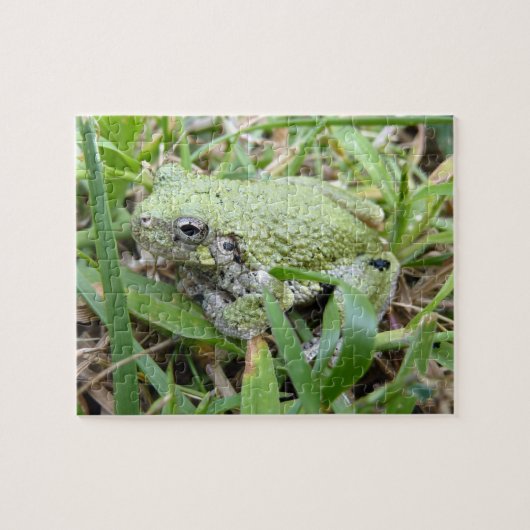 Eastern Grey Treefrog Natuur Fotografie Legpuzzel (Horizontaal)