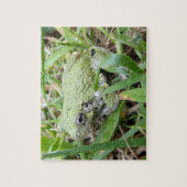 Eastern Grey Treefrog Natuur Fotografie Legpuzzel (Verticaal)