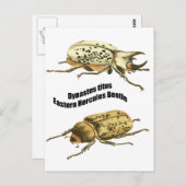 Eastern Hercules Beetle Briefkaart (Voorkant / Achterkant)