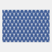 Eastern Illinois Panthers Paw Print & EIU Inpakpapier Vel (Voorkant 2)