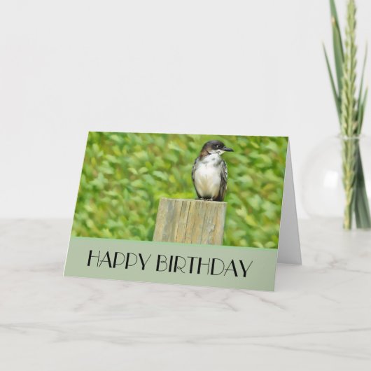 Eastern Kingbird - Carte d'anniversaire (Devant)