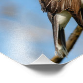 Eastern Kingbird op een filiaal Foto Afdruk (Hoek)