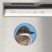 Eastern Kingbird op een filiaal Magneet (Insitu (Vaatwasser))