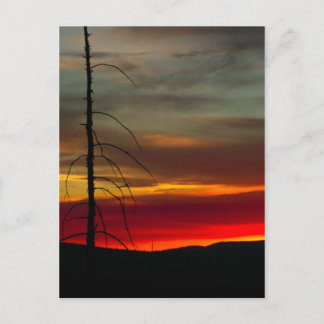 Eastern Oregon Sunrise Briefkaart