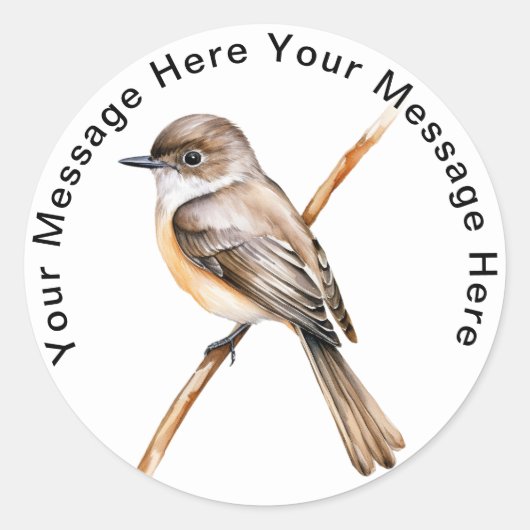 Eastern Phoebe Ronde Sticker (Voorkant)
