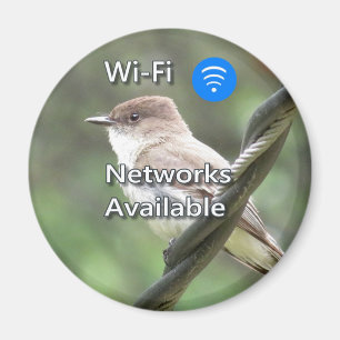 Eastern Phoebe Wi-Fi magnet Magneet