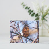 Eastern Red Bat Briefkaart (Staand voorkant)