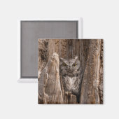 Eastern Screech Owl 2" magneet (Voorkant / Achterkant)