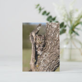Eastern Screech Owl Briefkaart (Staand voorkant)