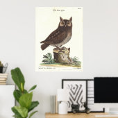 Eastern Screech Owl Catesby Seligman Reproduction Poster (Thuiskantoor)