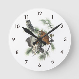 Eastern Screech Owl door Audubon Ronde Klok