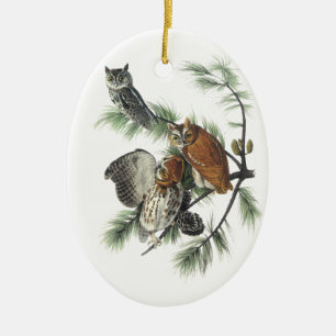 Eastern Screech Owl, John Audubon Keramisch Ornament