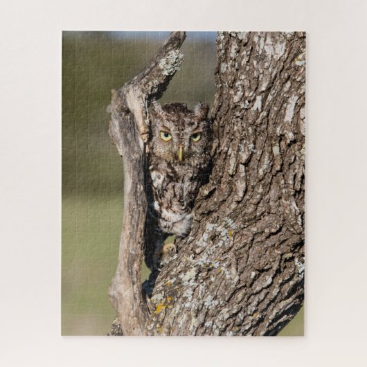 Eastern Screech Owl Legpuzzel (Verticaal)
