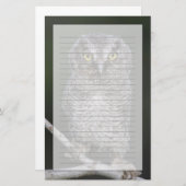 Eastern Screech Owl, Megascop asio, Otus 2 Briefpapier (Voorkant / Achterkant)