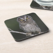 Eastern Screech Owl, Megascop asio, Otus 2 Drankjes Onderzetter (Linkerzijde)
